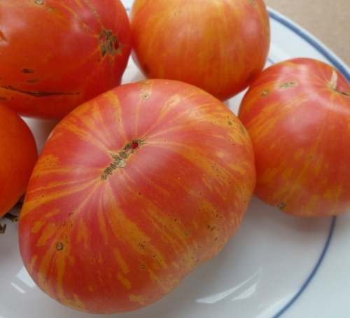 Bi-colored Copia Beefsteak is as beautiful inside as they are outside.