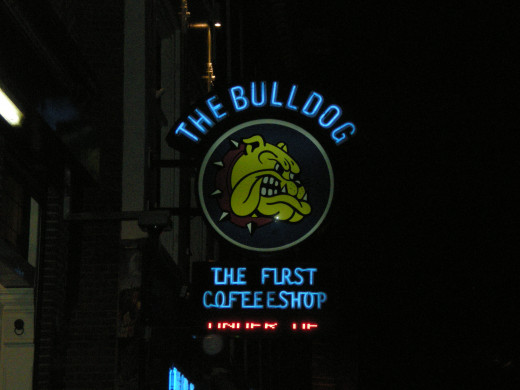 The Bulldog, Amsterdam's 1st Coffeeshop