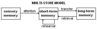 The Three Stage Processing Model is the leading theory as to how our memory works.  