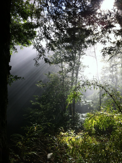 Picture taken in the south of Chile