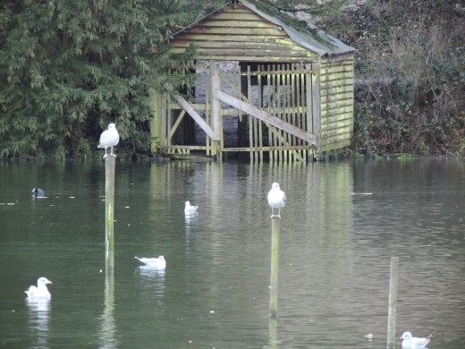 The old boathouse