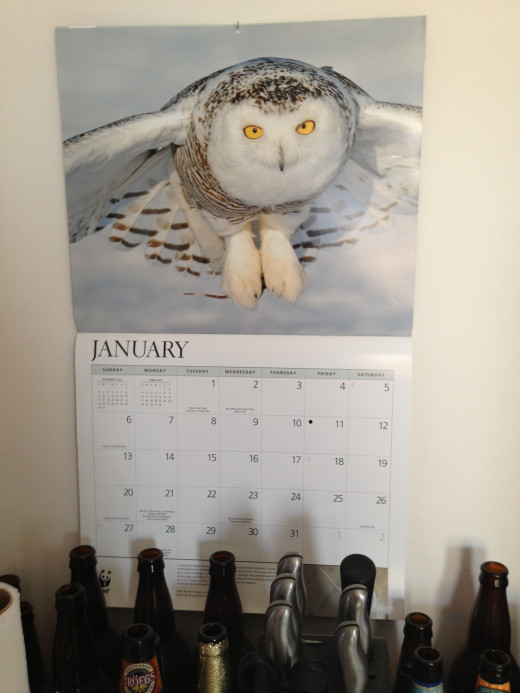A very blank wall calendar is pretty, but not effective...