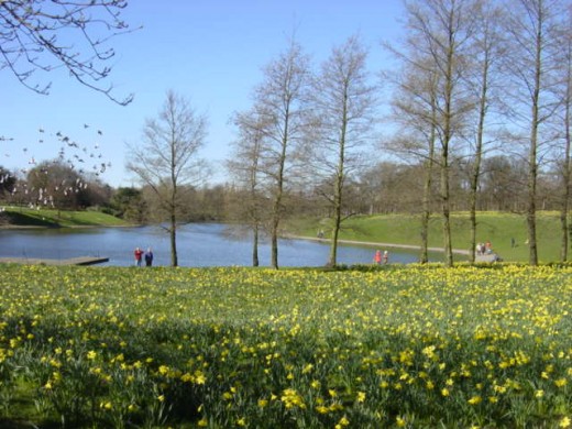 Madame Curie  Fields Of  Hope, Sefton Park