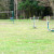 A wider view of the park A wider view of the park