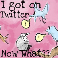I Created a Twitter Account, Now What?