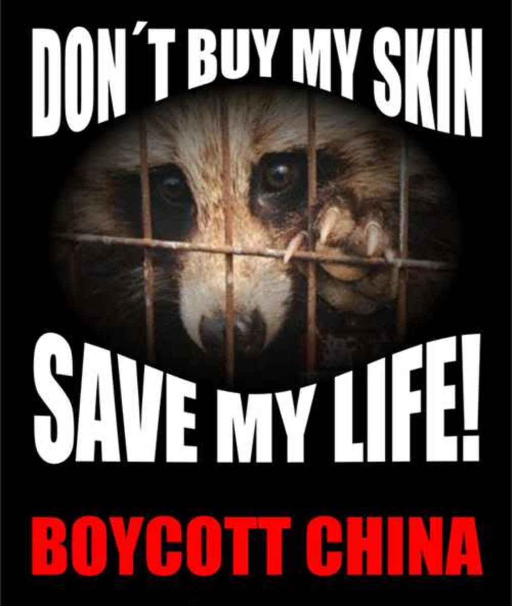 Raccoon Dog adult.  It's not difficult to boycott products Made in China.  You just don't buy them.