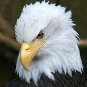 DarkAngel1982 profile image