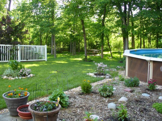 Backyard in Spring.  Part of my potted and butterfly garden here, you can tell its early spring.  This is a few years back however, and we no longer have the pool. 