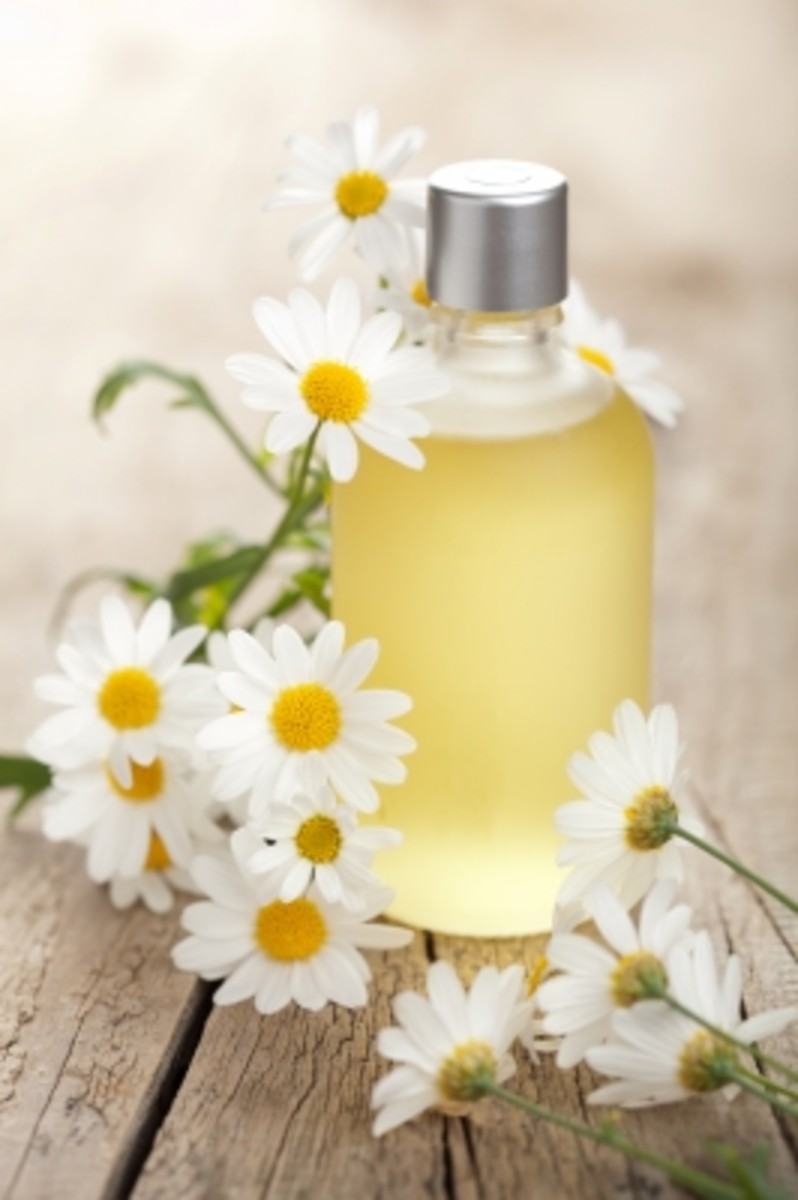 chamomile is soothing and calming to the skin. Ideal for treating psoriasis and eczema.