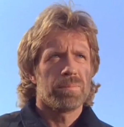 Chuck Norris. Man, Myth, Legend. Tis said that there is no chin behind this beard, only another fist!