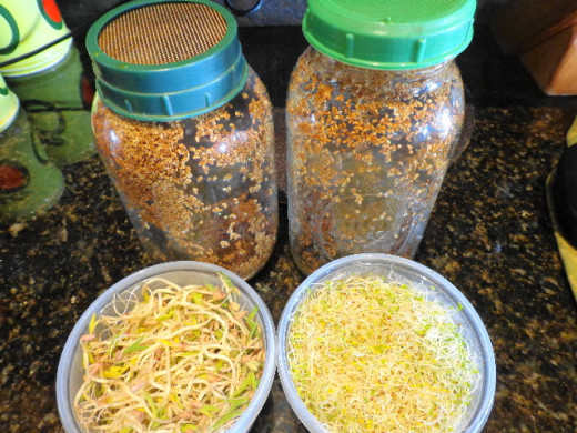 Sprouts during and after!