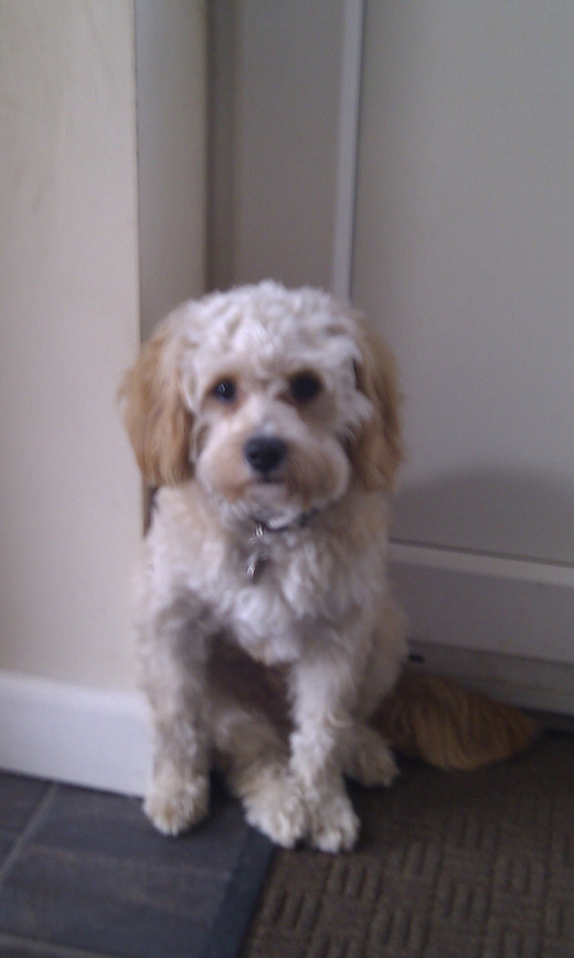 Charlie's looking a little bit sheepish.