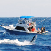 lsamson profile image