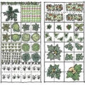 Garden Ideas and Tips For Late Winter and Early Spring
