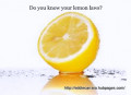 Do You Know The Lemon Laws For Your State?