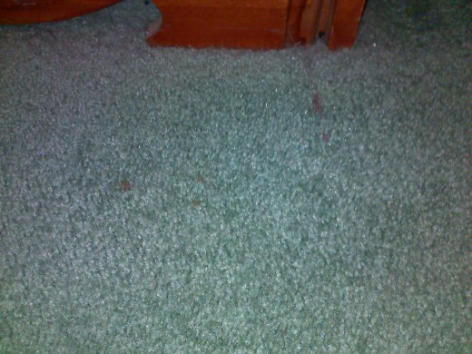 The stain is gone and the carpet smells fresh!