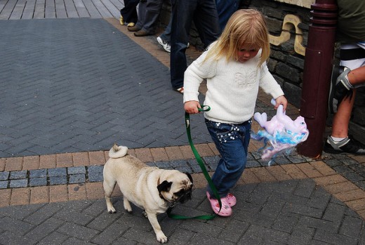 Pugs are patient and gentle with children.