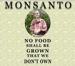 https://usercontent2.hubstatic.com/7624987_f260.jpg