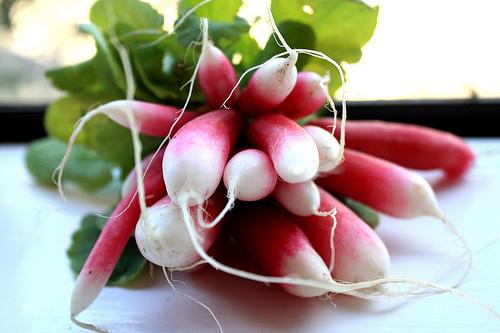 Radishes may just be the easiest vegetable to grow from seed of all.