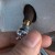 gauge pressed firmly on end of valve stem gauge pressed firmly on end of valve stem