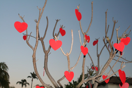 Valentine's Day Gifts