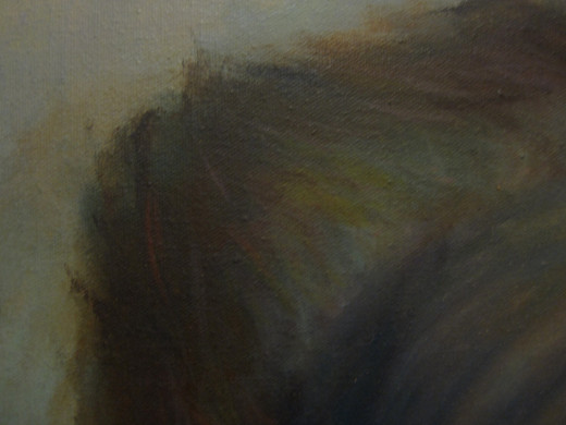 Detail showing the variety of colors in his hair.