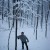 (click on the next thumbnail to the upper left of this photo) And when you are in the woods.... (click on the next thumbnail to the upper left of this photo) And when you are in the woods....