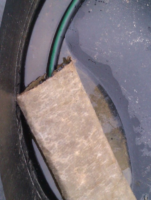 Grey Water Scientific principles to clean up grey water using Azolla