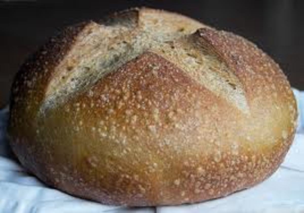 What Makes Bread Dough Rise?