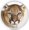 Mountain Lion OS X 10.8. 