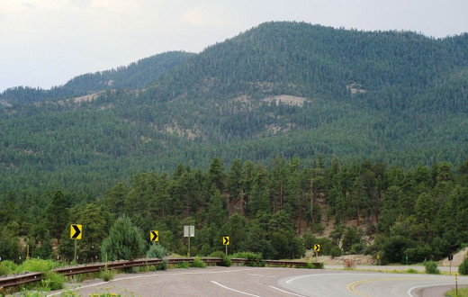Zereshk took this photograph near the Arizona-New Mexico border in Apache-Sitgreaves National Forest on October 20, 2007.