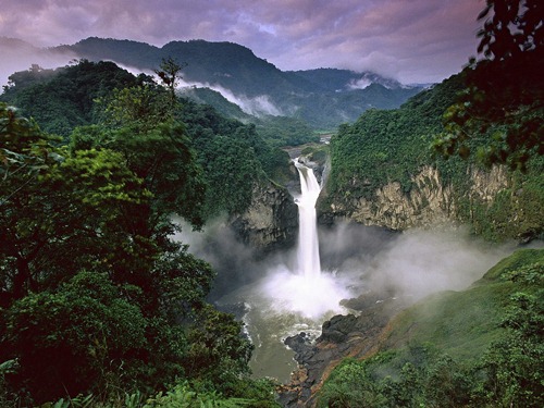 The Amazon Rain Forest