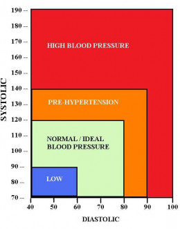 british heart foundation blood pressure chart pdf