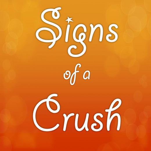 Wish sign crushes. Have a Crush on you. Sign Crushes motorist. Sign Crushes motorist hurting. Sign Crushes motorist Dog.