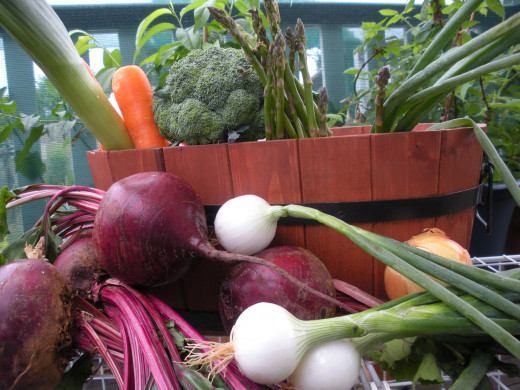 I grow a diverse range of organic vegetables.