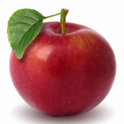 todaylearning profile image