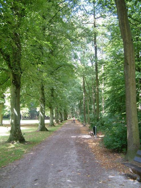 Philips de Jongh Park in Eindhoven (Strijp)  
