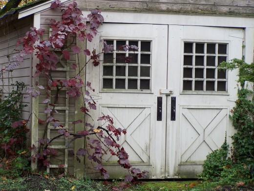 Old shed behind the house.