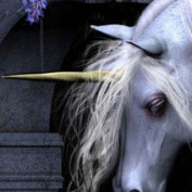 Dark Unicorn profile image