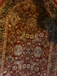 Rug before cleaning