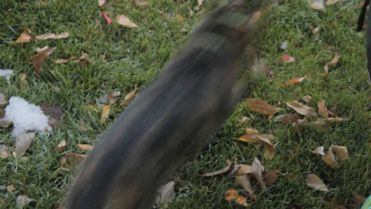 Quality Test Three