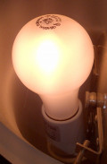 Incandescent Light Bulb Ban!