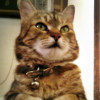 abigail winters profile image