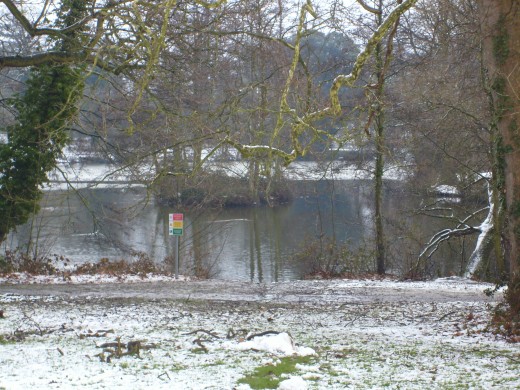 Lake at the University of Reading on a snowy winters day. 