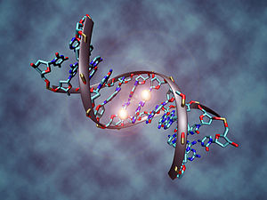 Carbon Footprint DNA