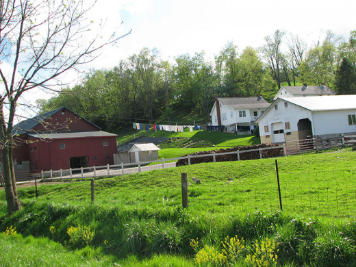 An Amish Homestead with pulley clothes line system in use.