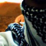 zaidniazi2 profile image
