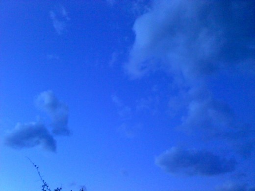 Butterfly sky