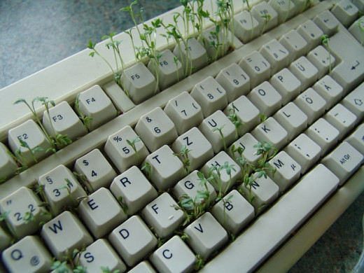 Startup programs proliferate like weeds in your PC.