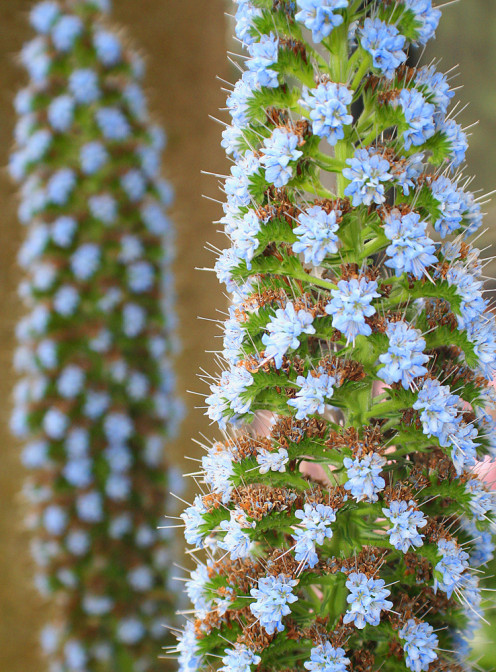 Tower of Jewels